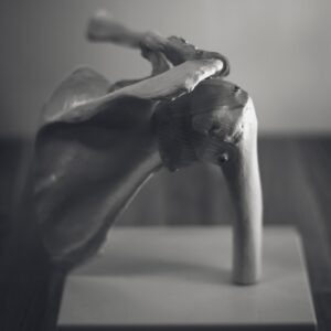 unsplash image tAXaNziaNio